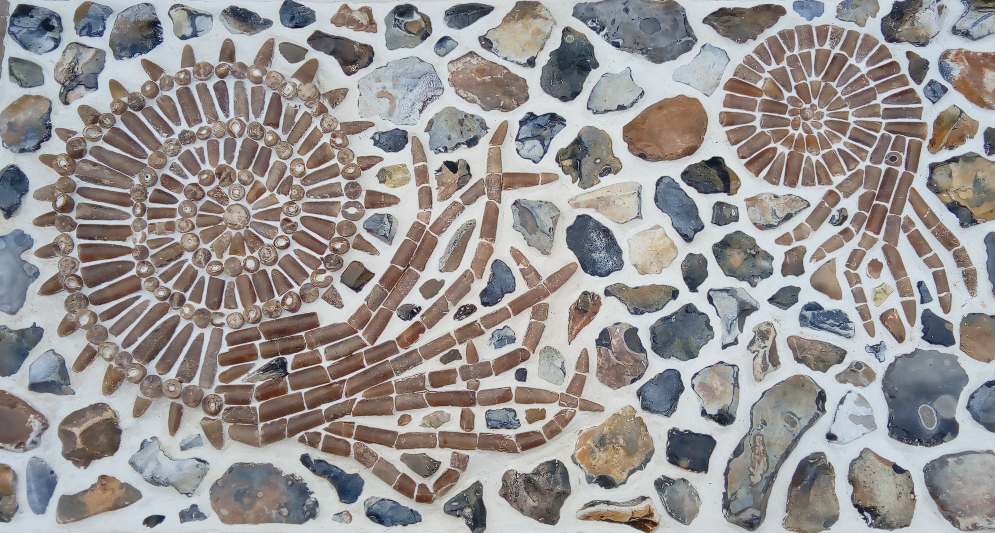 Mosaik Amoniten